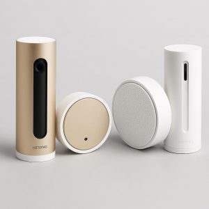 alarme netatmo ou somdy